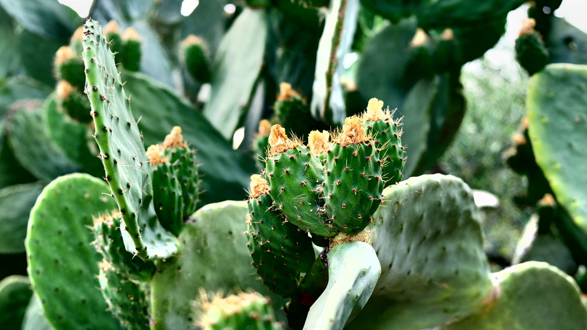 cantieristica e ferramenta